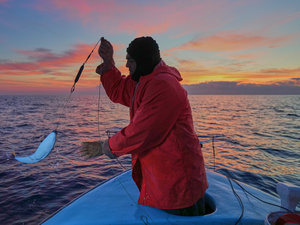 W300